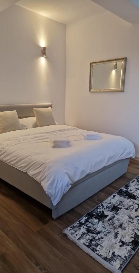 Modern House Hotel Sighetu Marmaţiei Eksteriør billede